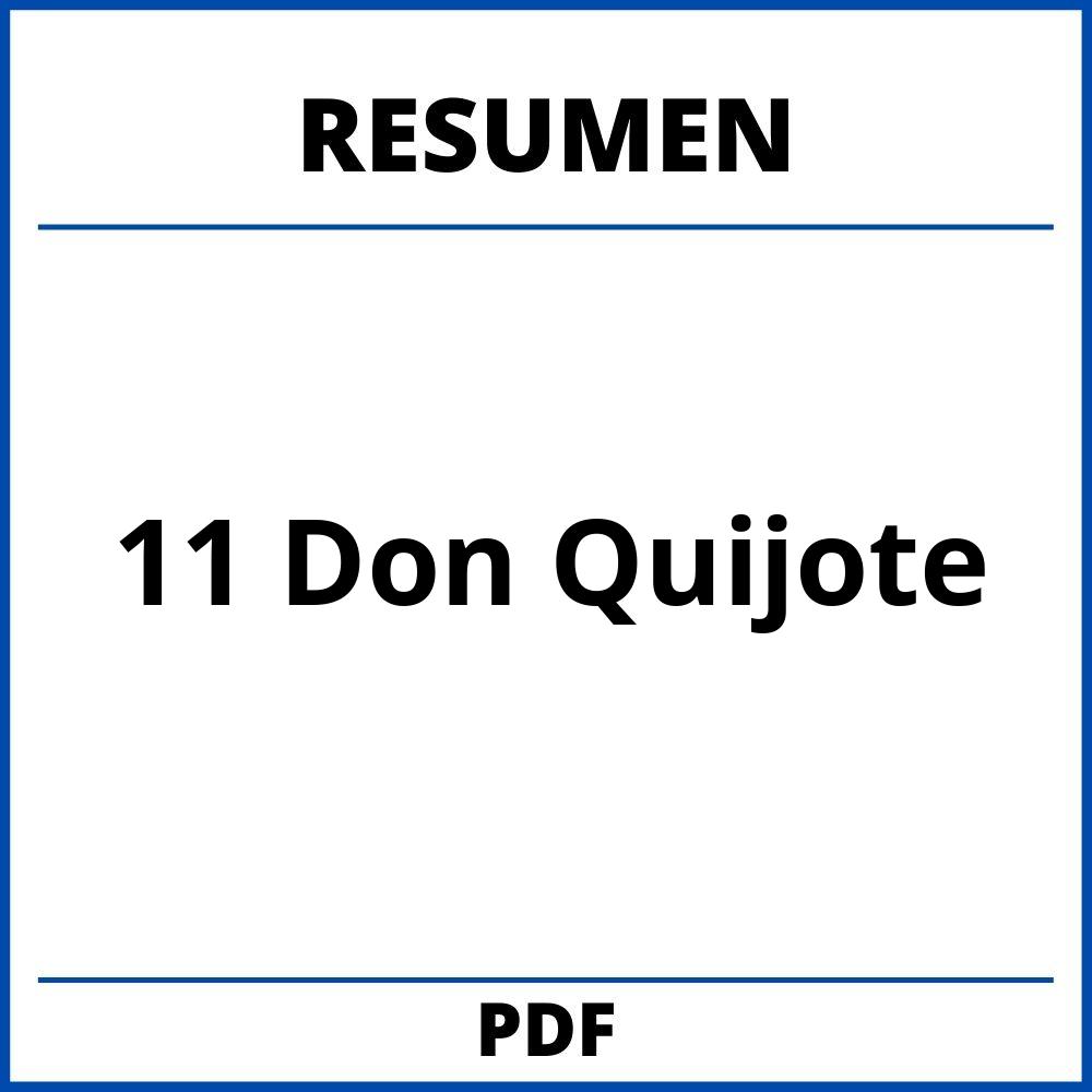 Resumen Capitulo 11 Don Quijote
