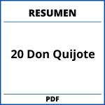Resumen Capitulo 20 Don Quijote