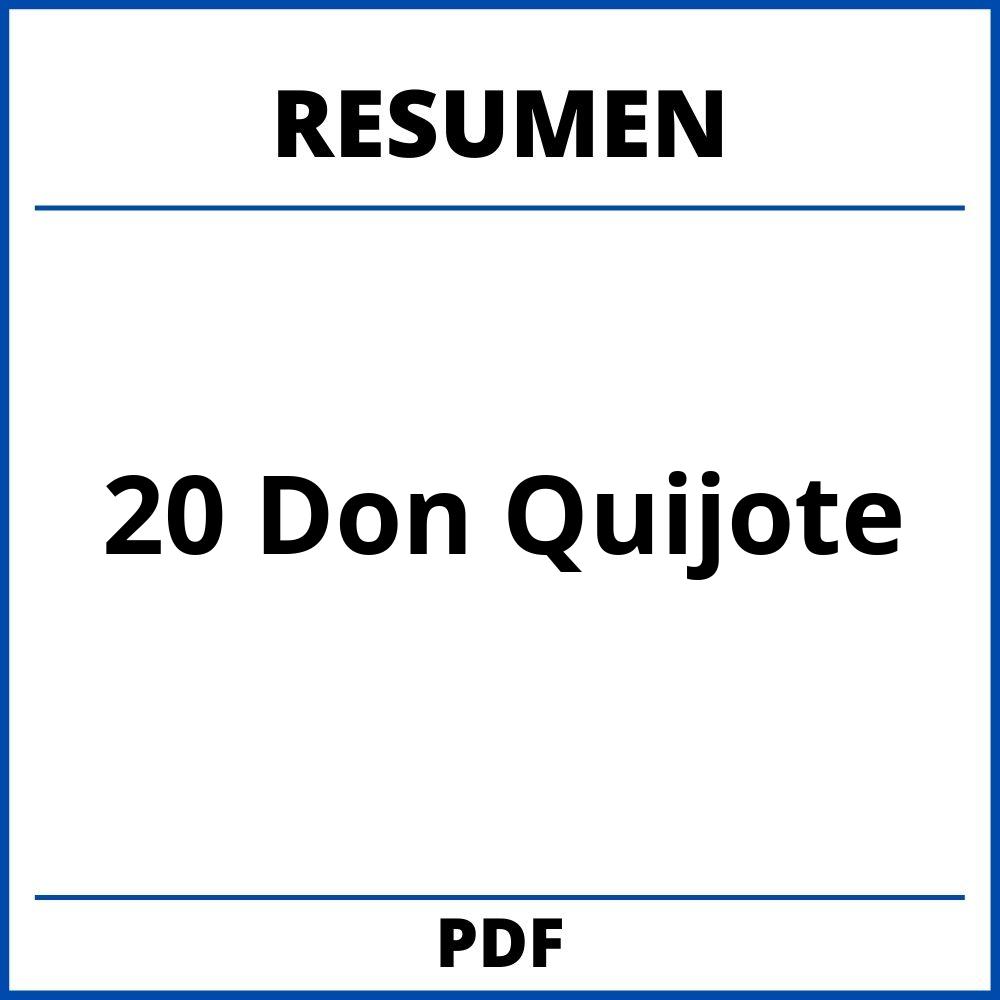 Resumen Capitulo 20 Don Quijote