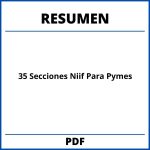 Resumen 35 Secciones Niif Para Pymes