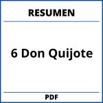 Resumen Capitulo 6 Don Quijote