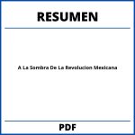 A La Sombra De La Revolucion Mexicana Resumen