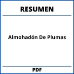 Resumen Del Almohadón De Plumas