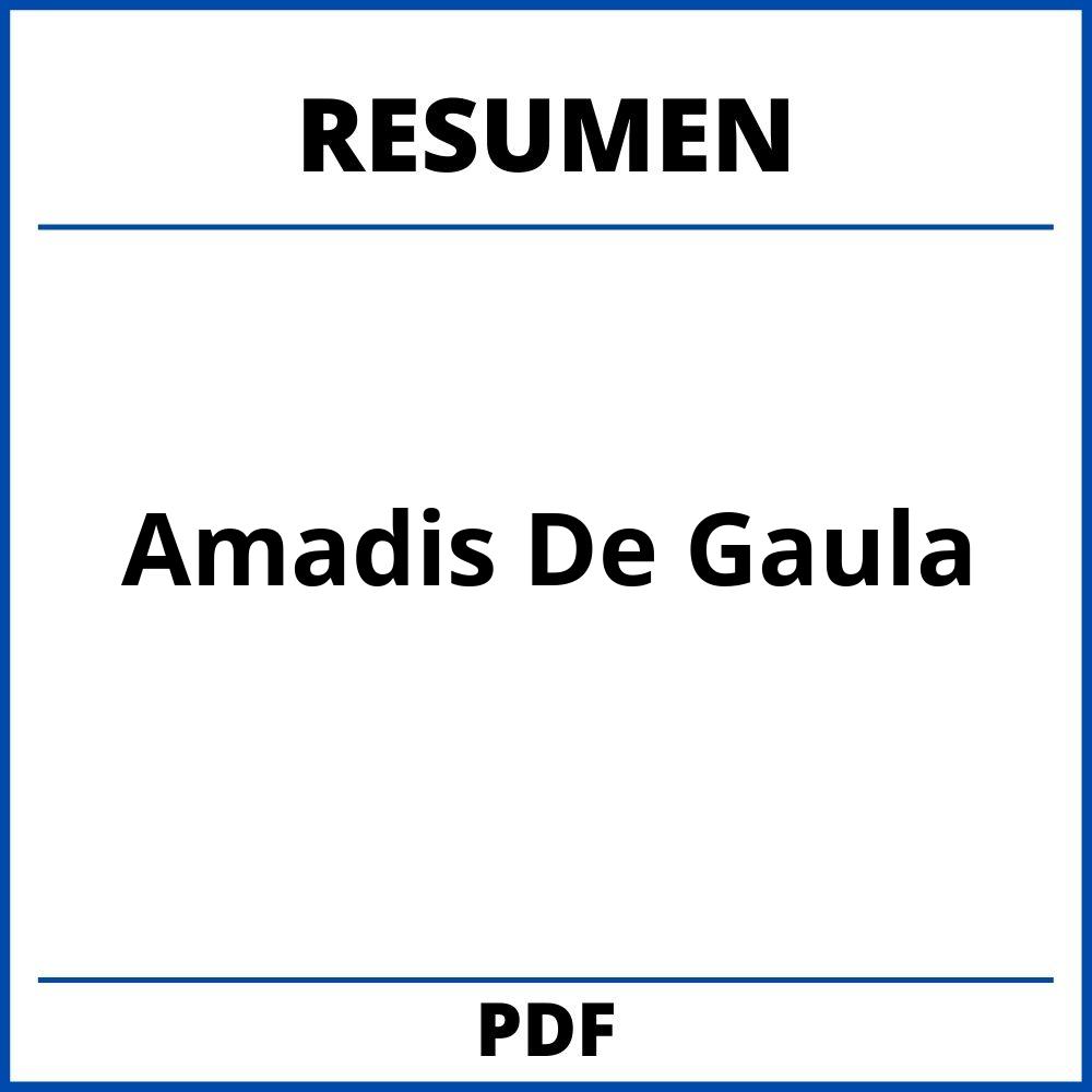 Amadis De Gaula Resumen Por Capitulos