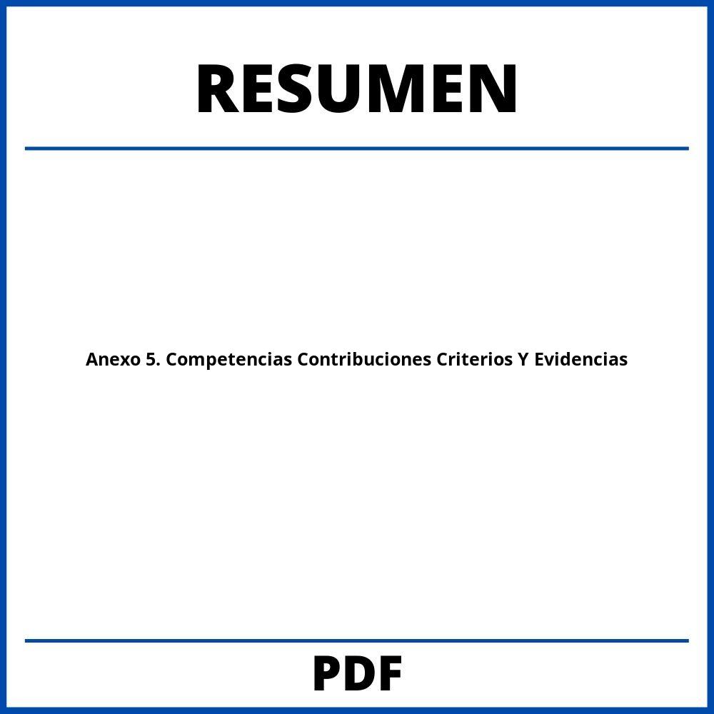 Anexo 5. Resumen Competencias Contribuciones Criterios Y Evidencias