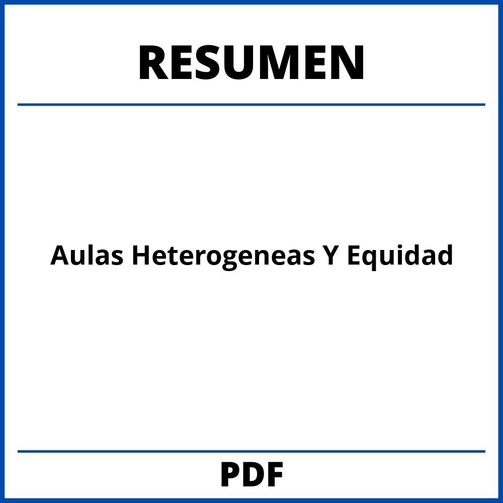 Aulas Heterogeneas Y Equidad Resumen