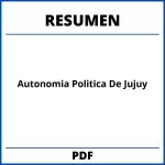 Autonomia Politica De Jujuy Resumen