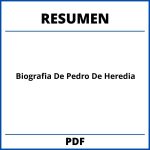 Biografia De Pedro De Heredia Resumen