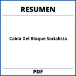 Caida Del Bloque Socialista Resumen