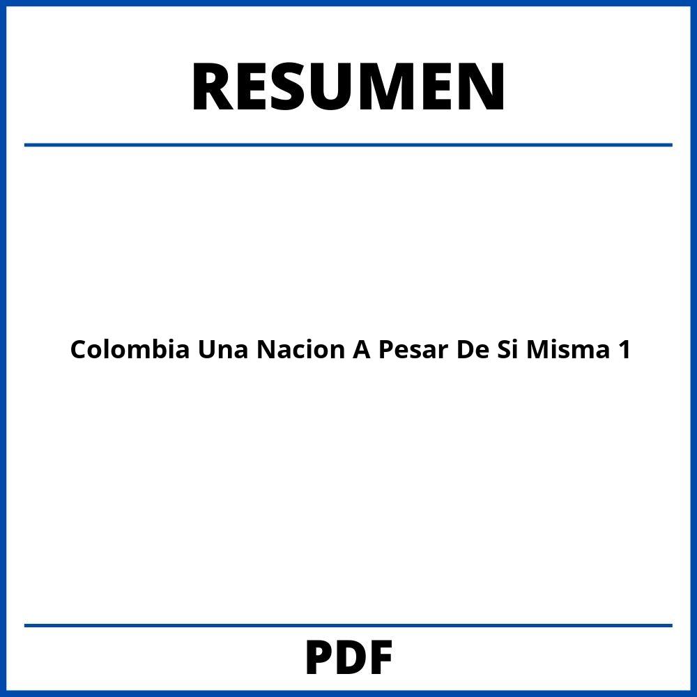 Colombia Una Nacion A Pesar De Si Misma Resumen Capitulo 1