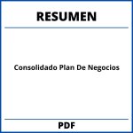 Resumen Consolidado Plan De Negocios