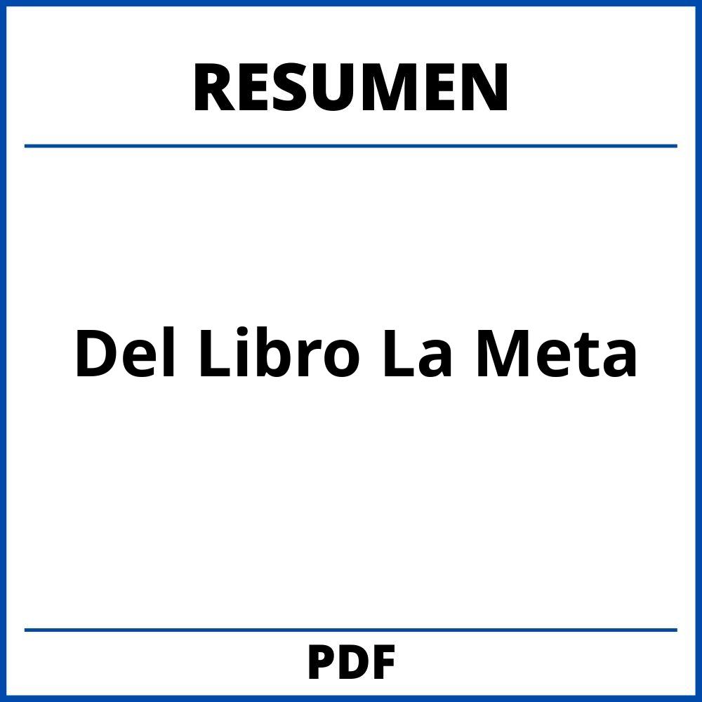 Resumen Por Capitulos Del Libro La Meta