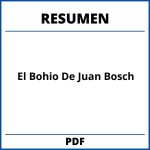 El Bohio De Juan Bosch Resumen