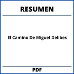 El Camino De Miguel Delibes Resumen