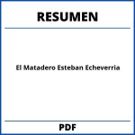 El Matadero Esteban Echeverria Resumen