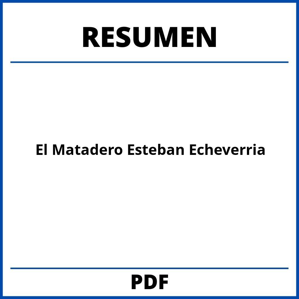 El Matadero Esteban Echeverria Resumen