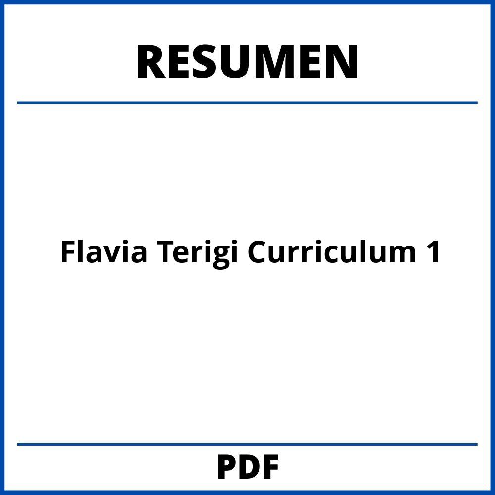 Flavia Terigi Curriculum Capitulo 1 Resumen