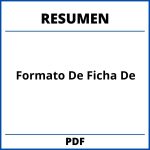Formato De Ficha De Resumen