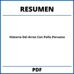 Historia Del Arroz Con Pollo Peruano Resumen