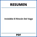 Resumen Del Libro Invisible El Rincón Del Vago