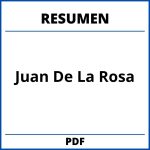 Juan De La Rosa Resumen