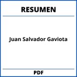 Resumen De Juan Salvador Gaviota