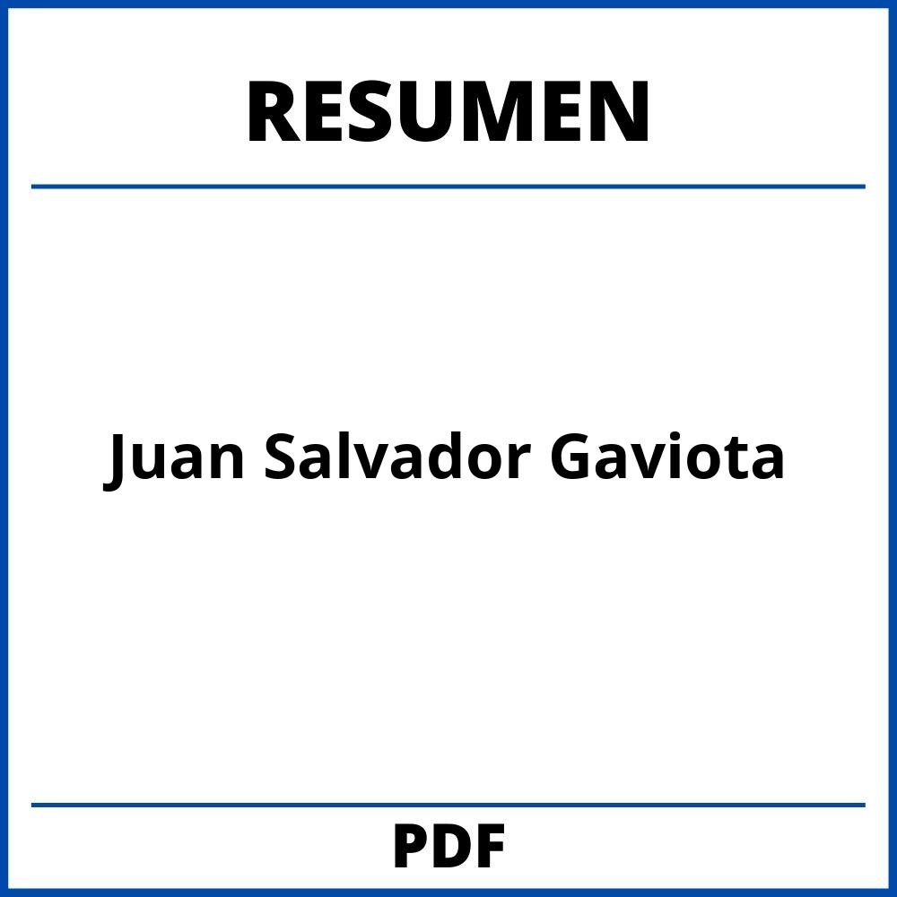 Resumen De Juan Salvador Gaviota