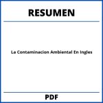 Resumen De La Contaminacion Ambiental En Ingles