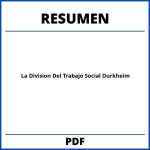 La Division Del Trabajo Social Durkheim Resumen