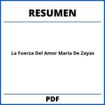 La Fuerza Del Amor Maria De Zayas Resumen