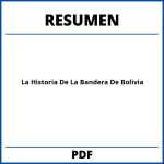 Resumen De La Historia De La Bandera De Bolivia
