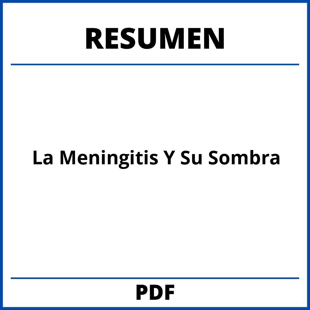 La Meningitis Y Su Sombra Resumen