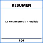 La Metamorfosis Resumen Y Analisis