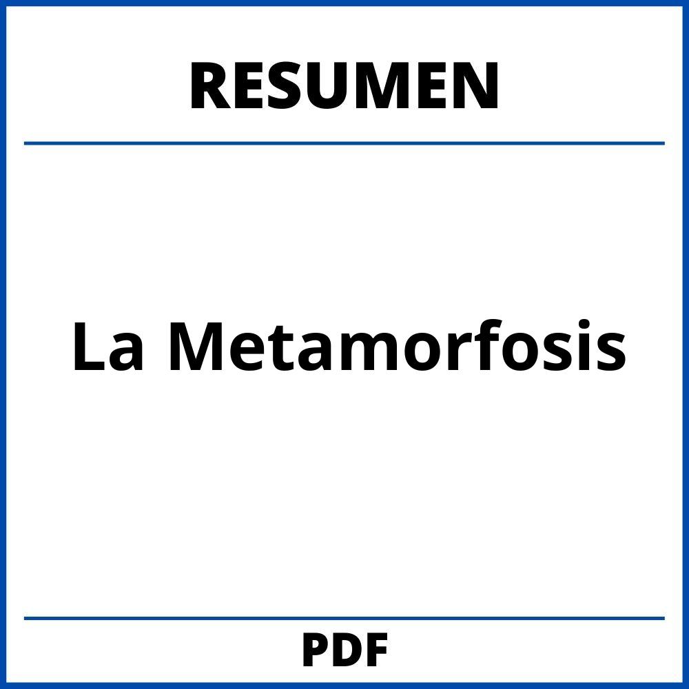 La Metamorfosis Resumen Por Capitulos