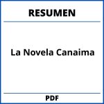 Resumen De La Novela Canaima
