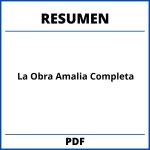 Resumen De La Obra Amalia Completa