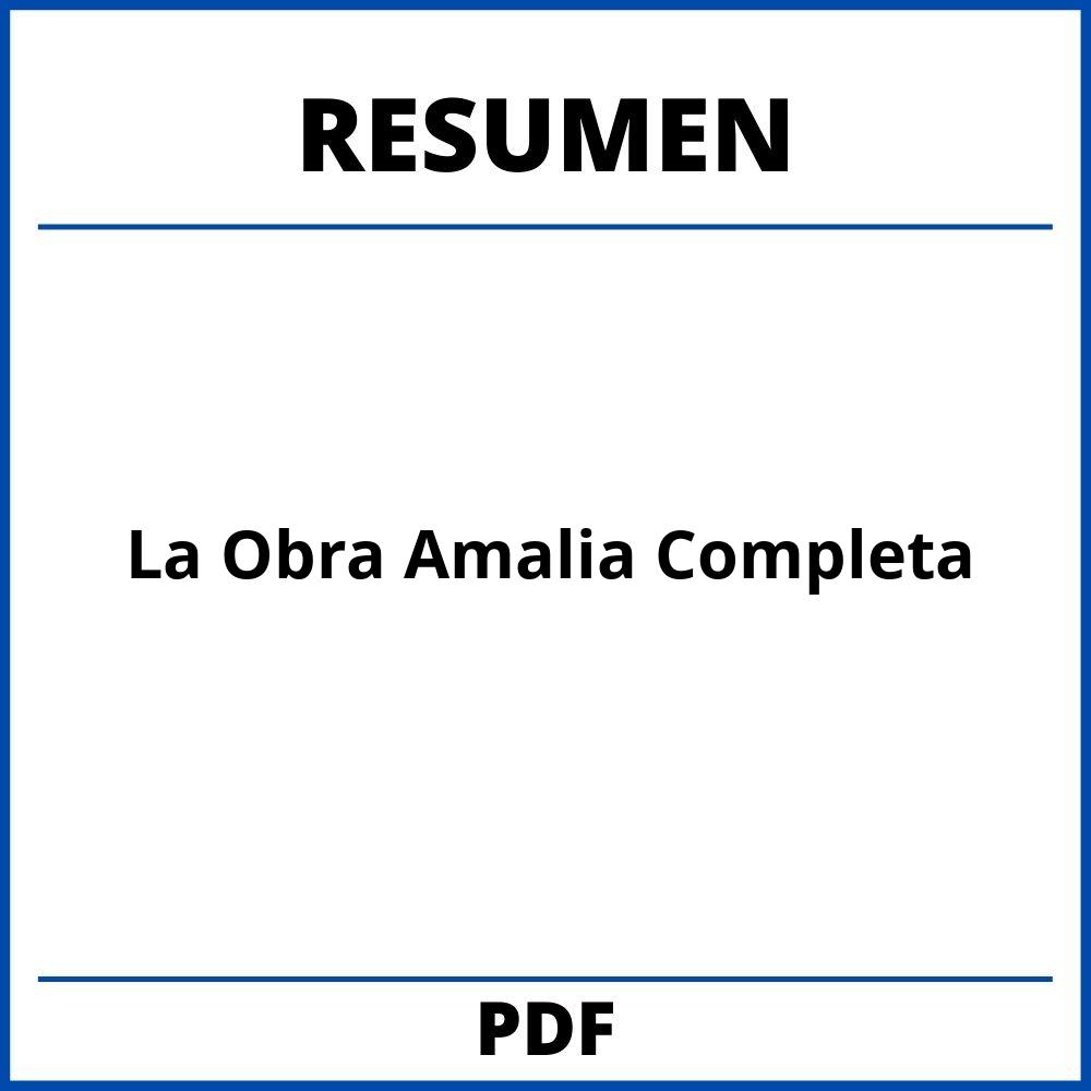 Resumen De La Obra Amalia Completa