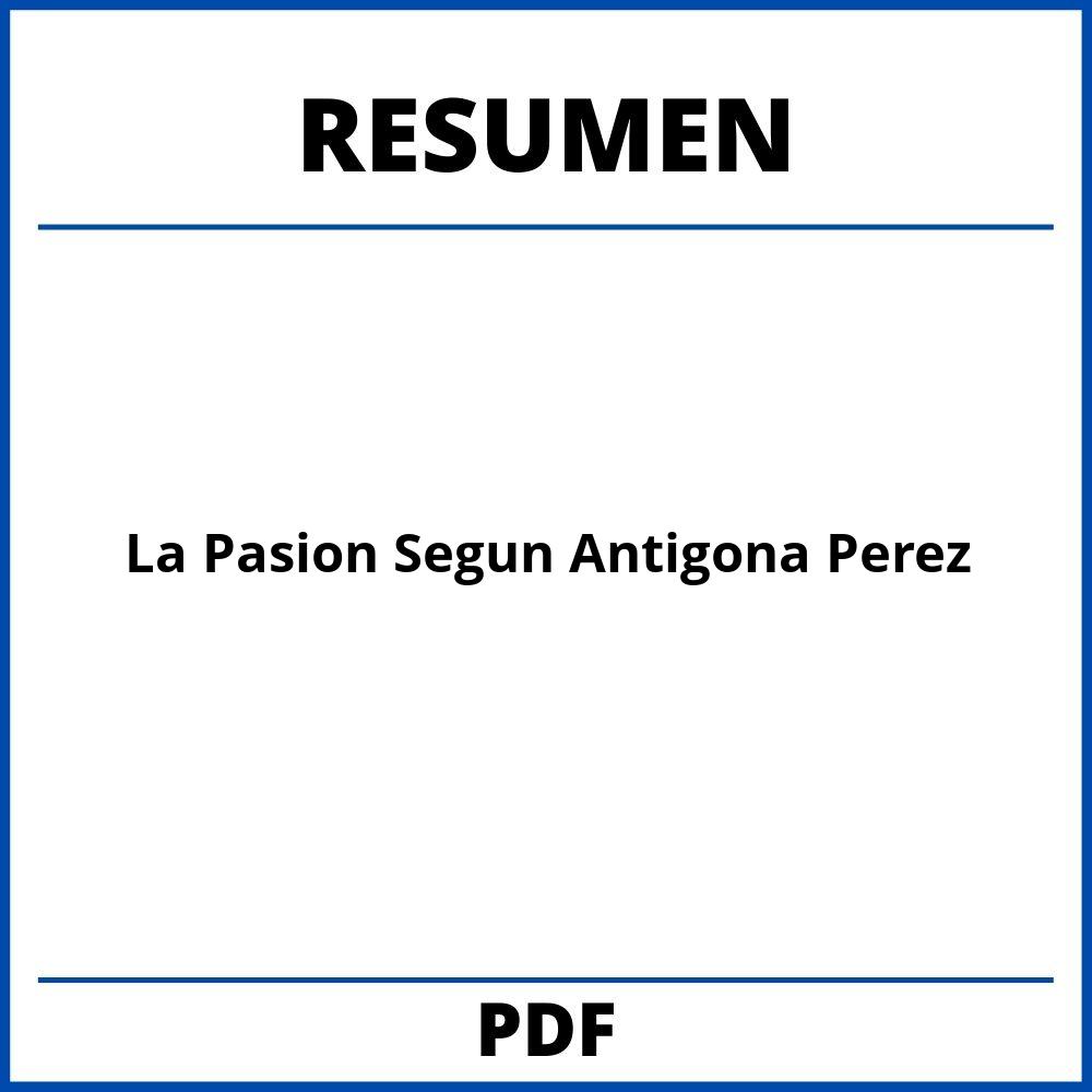 La Pasion Segun Antigona Perez Resumen