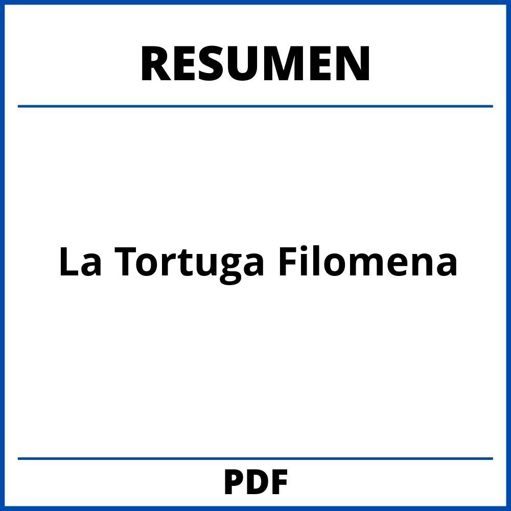 Resumen De La Tortuga Filomena