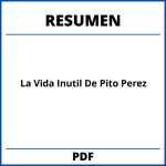 La Vida Inutil De Pito Perez Resumen Pdf