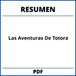 Las Aventuras De Totora Resumen