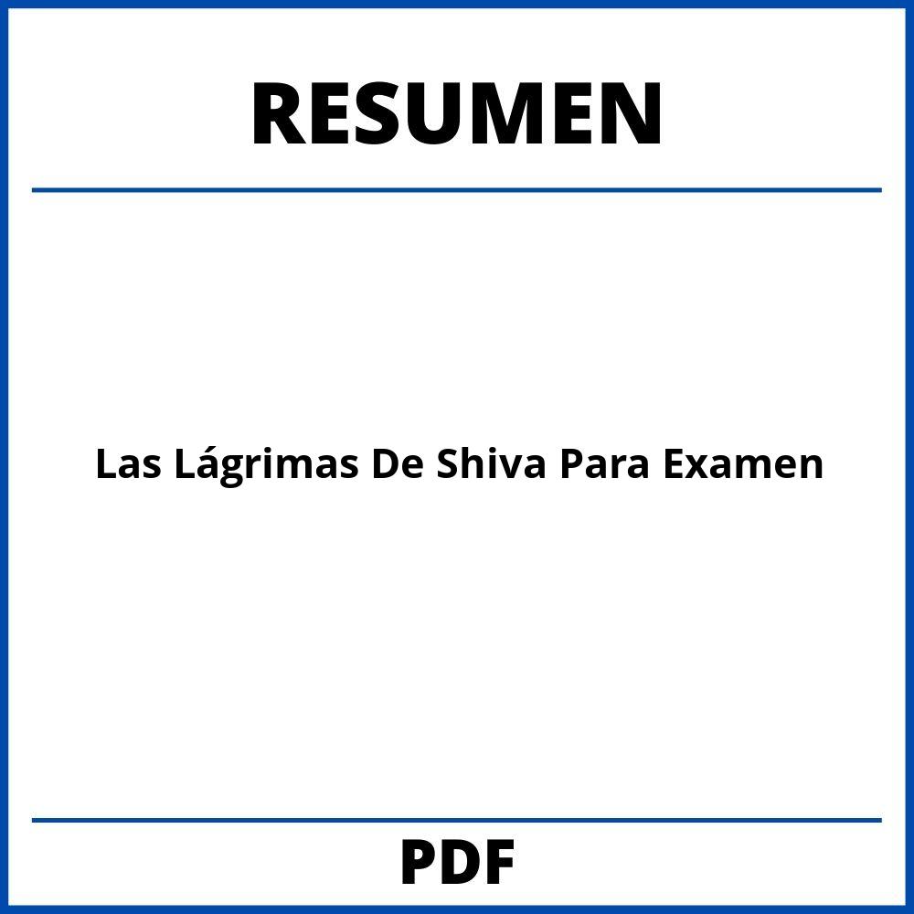 Las Lágrimas De Shiva Resumen Para Examen