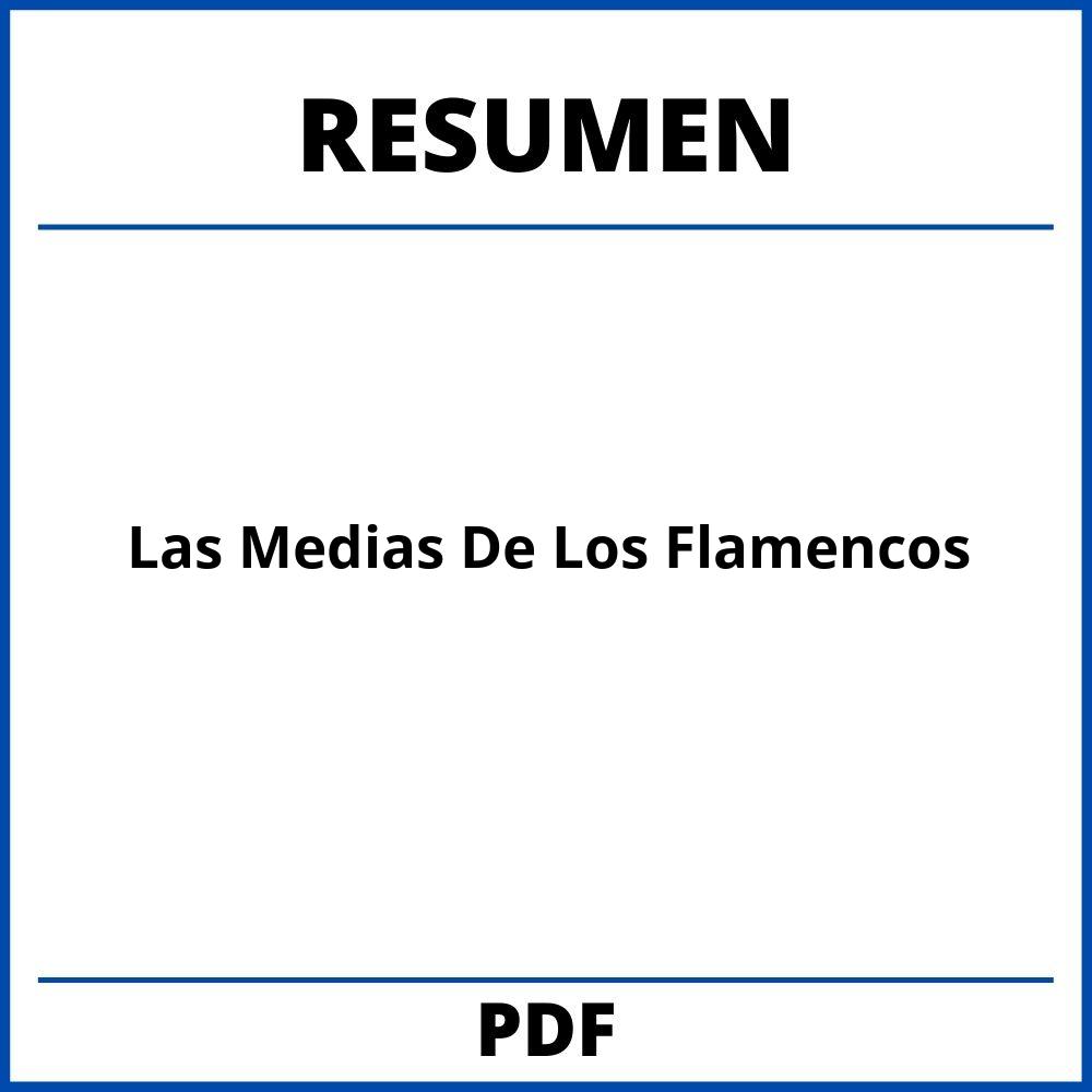 Las Medias De Los Flamencos Resumen