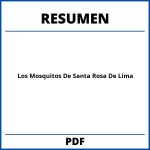 Los Mosquitos De Santa Rosa De Lima Resumen
