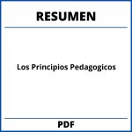 Resumen De Los Principios Pedagogicos