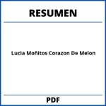 Lucia Moñitos Corazon De Melon Resumen