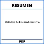 Resumen Del Matadero De Esteban Echeverria