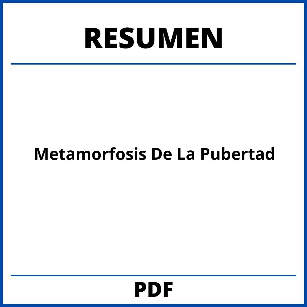 Metamorfosis De La Pubertad Resumen