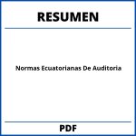 Normas Ecuatorianas De Auditoria Resumen