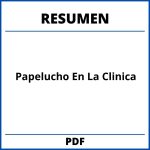 Resumen De Papelucho En La Clinica